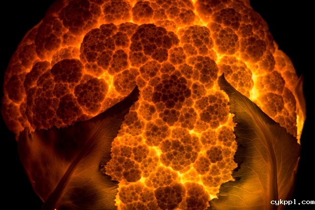 『创意摄影』Radu Zaciu：果蔬“灯泡”