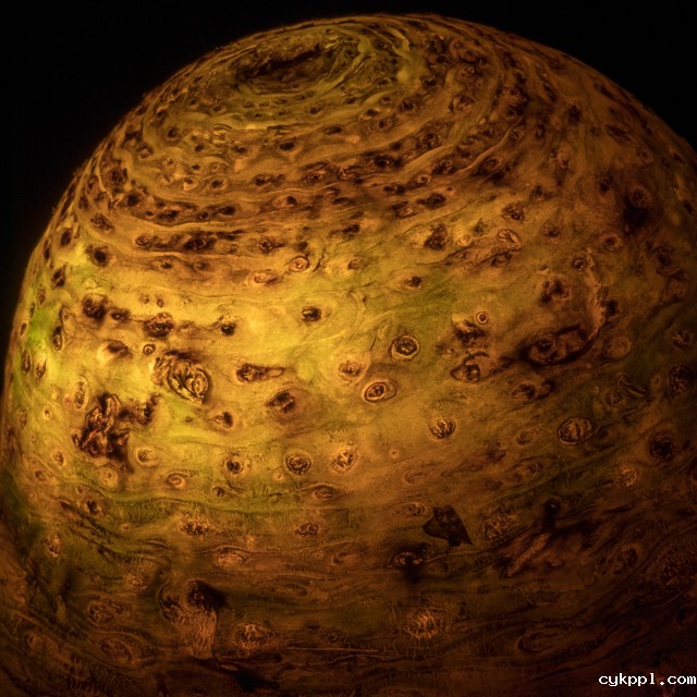 『创意摄影』Radu Zaciu：果蔬“灯泡”