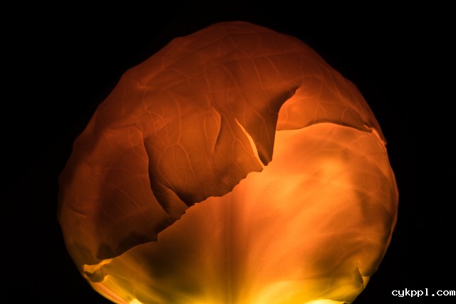 『创意摄影』Radu Zaciu：果蔬“灯泡”