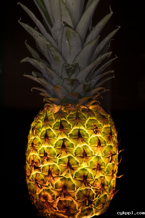 『创意摄影』Radu Zaciu：果蔬“灯泡”