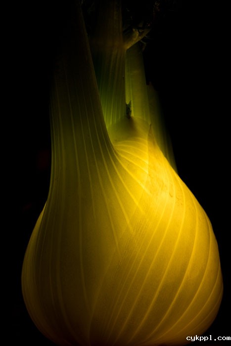 『创意摄影』Radu Zaciu：果蔬“灯泡”