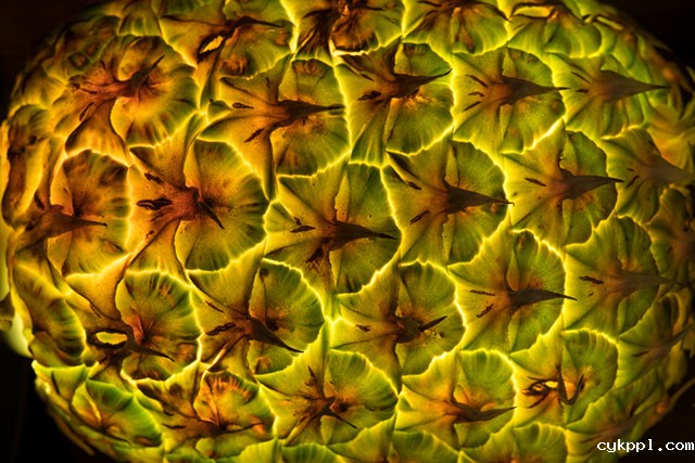 『创意摄影』Radu Zaciu：果蔬“灯泡”