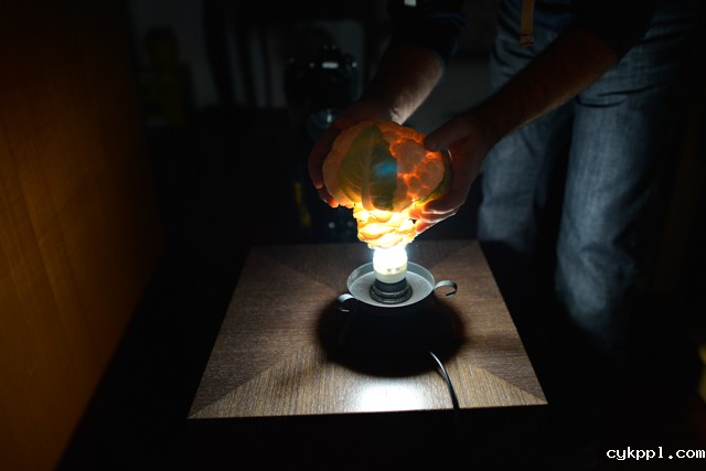 『创意摄影』Radu Zaciu：果蔬“灯泡”