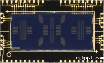 5000万像素的逆袭 佳能发布EOS 5Ds、5Ds R