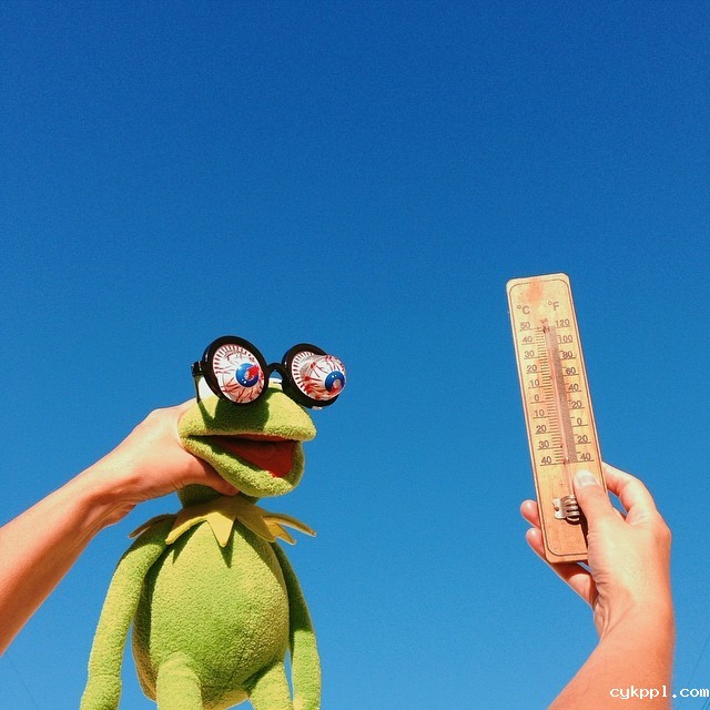 手机摄影：玩具们的真实人生