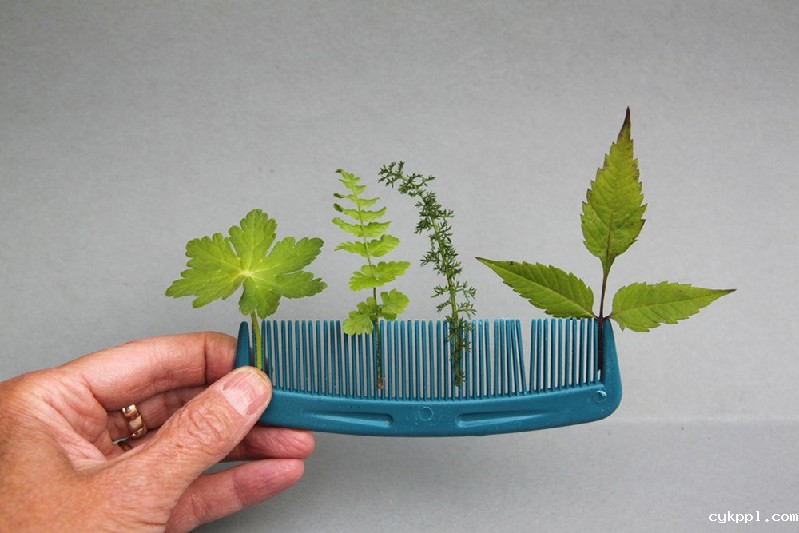 只要有创意，生活总是充满惊喜