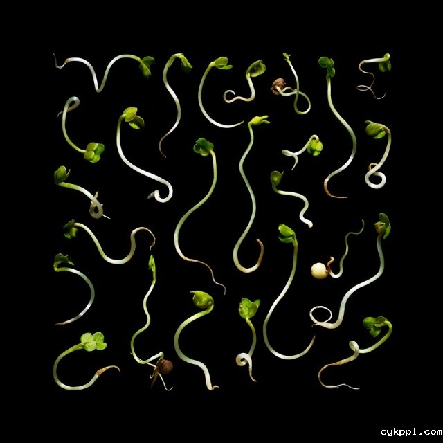 Julien Palast：时间纹理