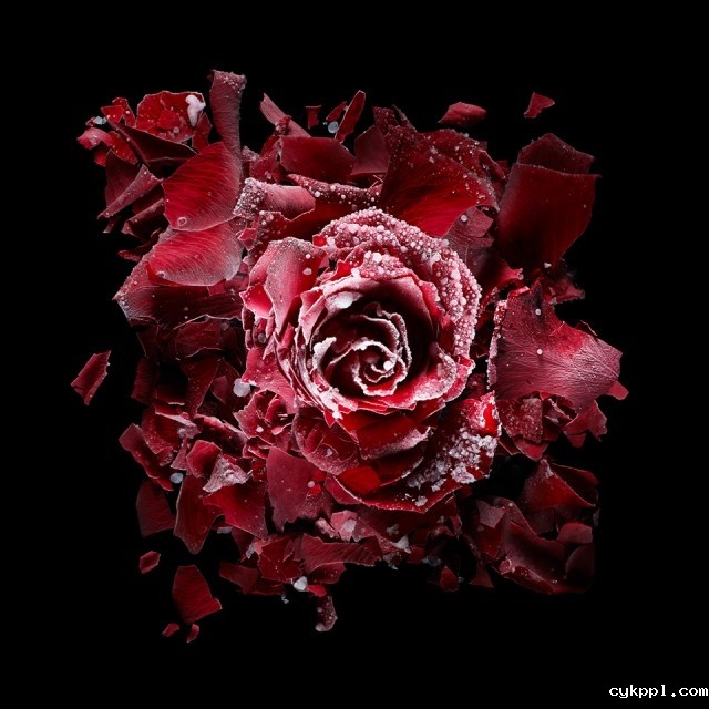 Julien Palast：时间纹理