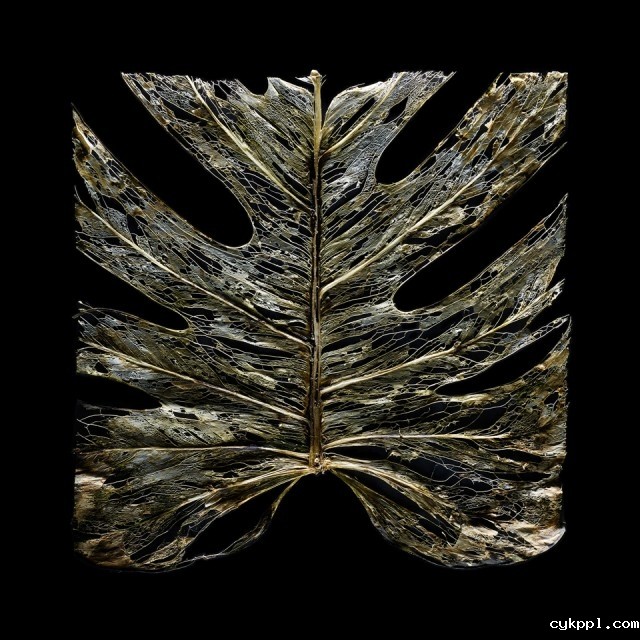 Julien Palast：时间纹理