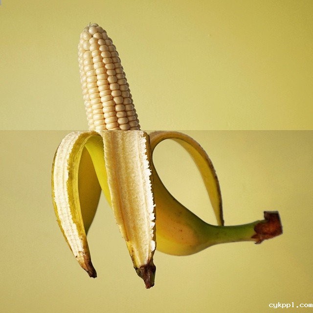 拼接出来的生活创意照