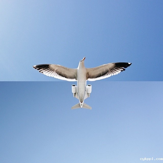 拼接出来的生活创意照