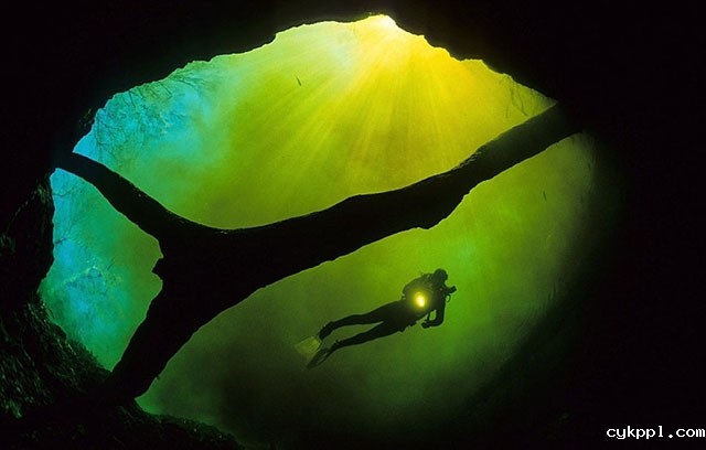 Franco Banfi：模拟鱼视角拍梦幻世界