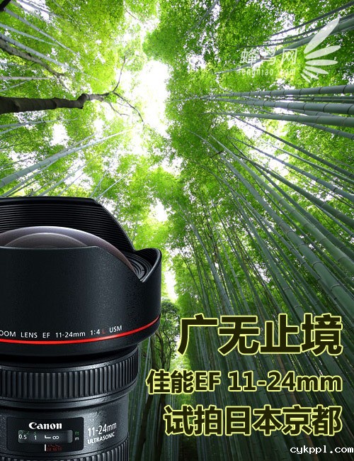 广无止境 佳能EF 11-24mm镜头试拍京都 广无止境 佳能EF 11-24mm镜头试拍京都