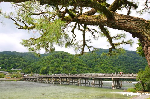 广无止境 佳能EF 11-24mm镜头试拍京都 佳能11-24试拍京都