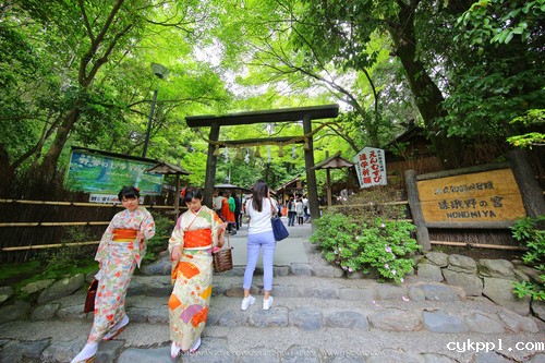 广无止境 佳能EF 11-24mm镜头试拍京都 佳能11-24试拍京都