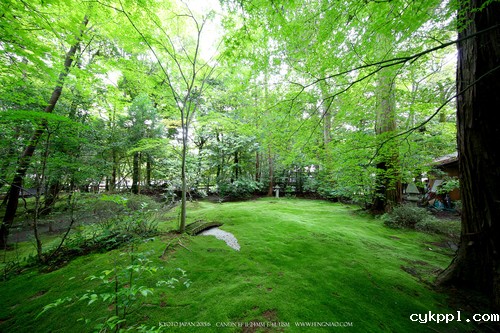 广无止境 佳能EF 11-24mm镜头试拍京都 佳能11-24试拍京都