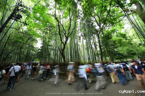 广无止境 佳能EF 11-24mm镜头试拍京都 佳能11-24试拍京都