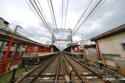 广无止境 佳能EF 11-24mm镜头试拍京都 佳能11-24试拍京都