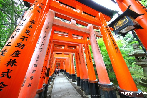 广无止境 佳能EF 11-24mm镜头试拍京都 佳能11-24试拍京都