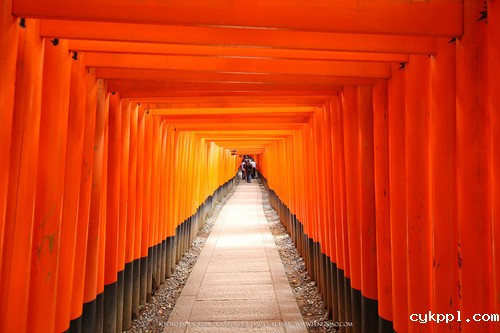 广无止境 佳能EF 11-24mm镜头试拍京都