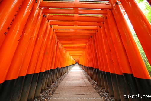 广无止境 佳能EF 11-24mm镜头试拍京都