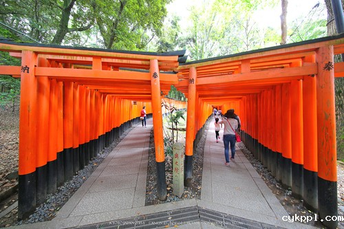 广无止境 佳能EF 11-24mm镜头试拍京都