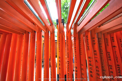 广无止境 佳能EF 11-24mm镜头试拍京都