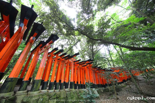 广无止境 佳能EF 11-24mm镜头试拍京都