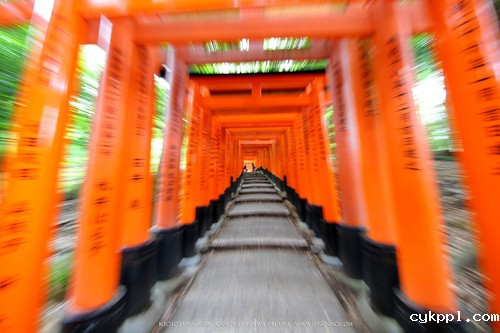 广无止境 佳能EF 11-24mm镜头试拍京都