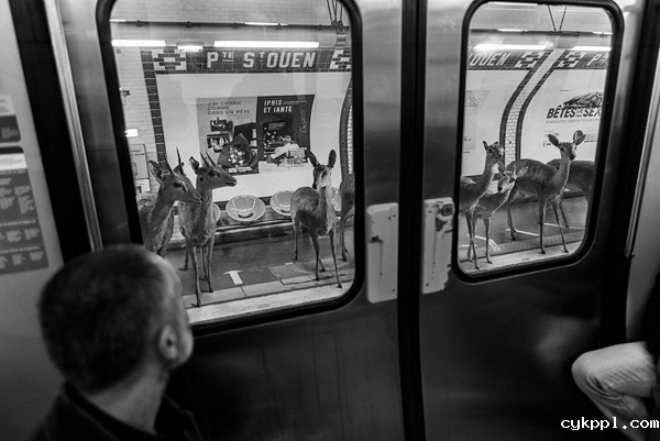 Thomas Subtil：地铁动物园