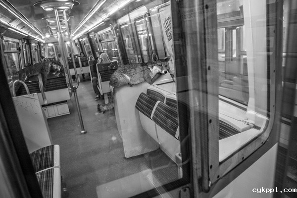 Thomas Subtil：地铁动物园