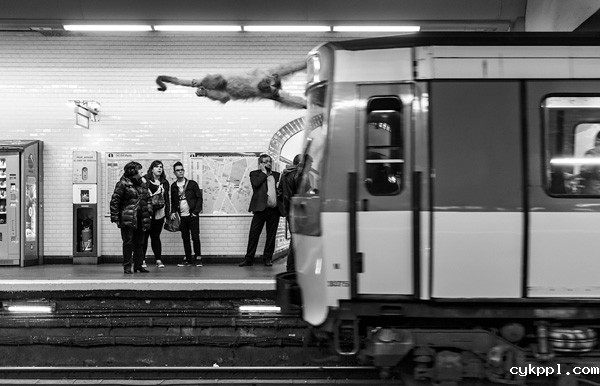 Thomas Subtil：地铁动物园