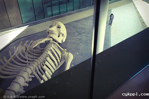 以色列摄影师：超现实枕头