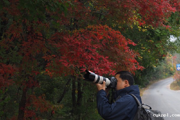 中国新闻摄影记者聚焦“枫叶之乡”本溪县