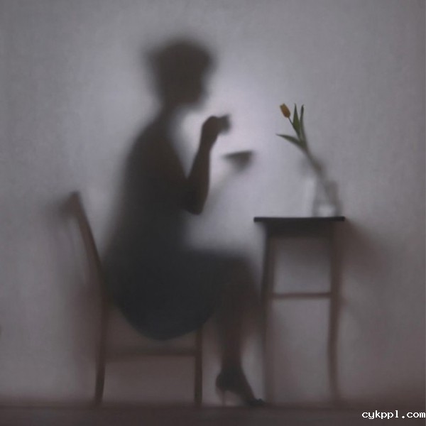 Hanna Seweryn：剪影下的女人