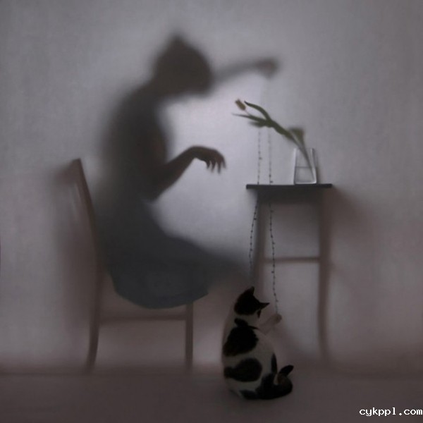 Hanna Seweryn：剪影下的女人