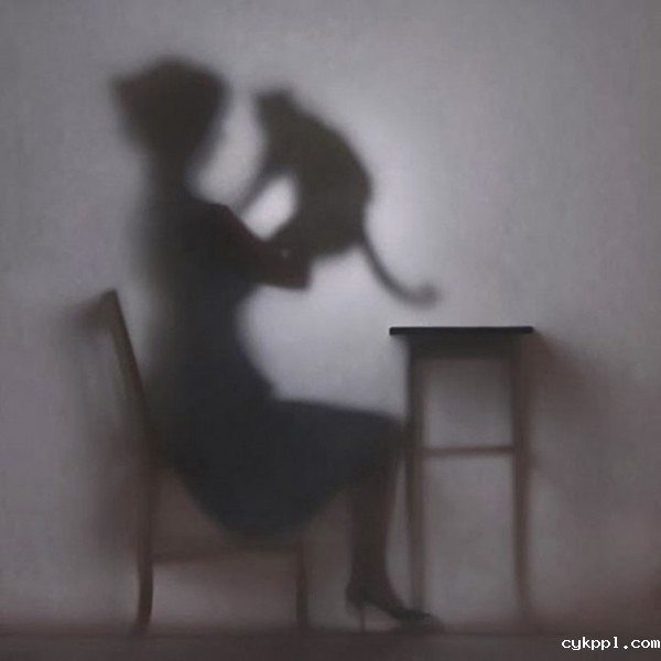 Hanna Seweryn：剪影下的女人