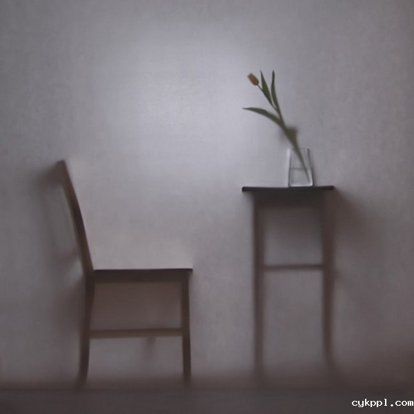 Hanna Seweryn：剪影下的女人