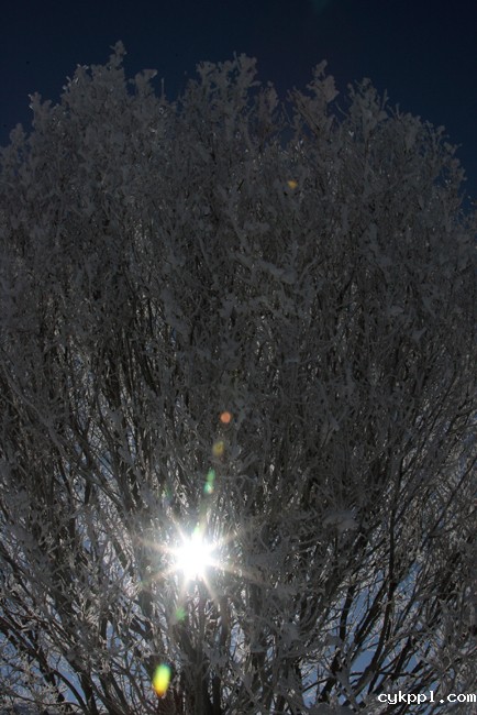 走近昭苏 感受“雪之恋”