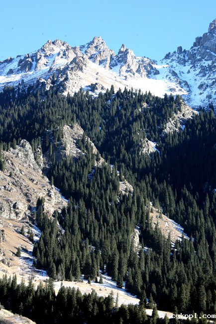 走近昭苏 感受“雪之恋”