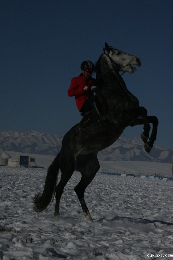 走近昭苏 感受“雪之恋”