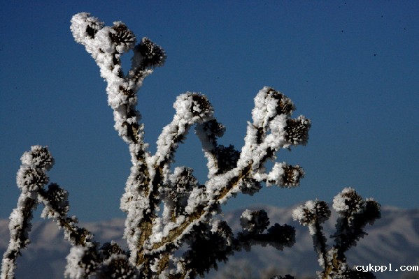 走近昭苏 感受“雪之恋”