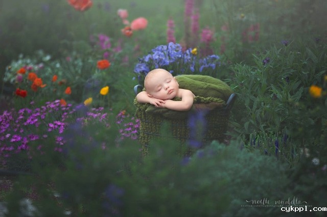 Noelle Mirabella:家有萌宝