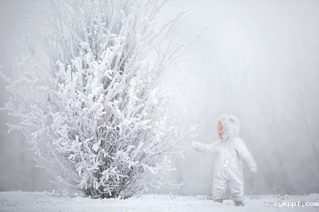 Noelle Mirabella:家有萌宝