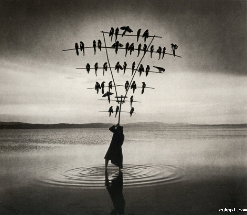 阴郁的黑白观念摄影