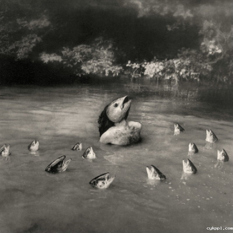 阴郁的黑白观念摄影