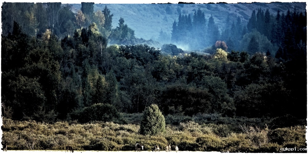 曾经的中国部族