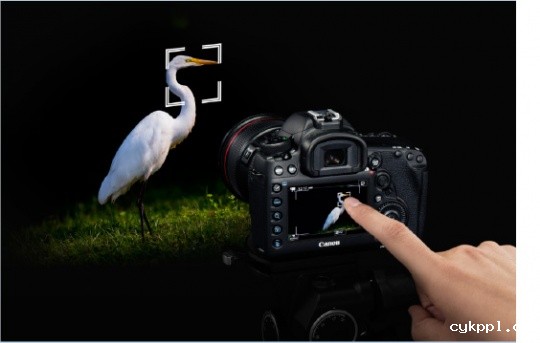 将平衡进行到底 点评佳能EOS 5D Mark IV