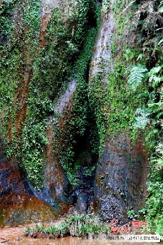 纪念红军长征胜利80周年全国主流媒体聚焦赤水