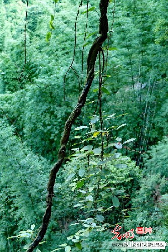 纪念红军长征胜利80周年全国主流媒体聚焦赤水